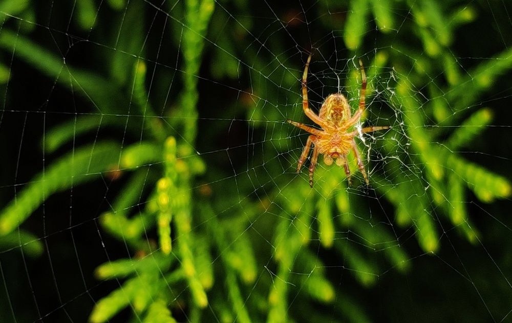 Photograph by _ AZIMOV