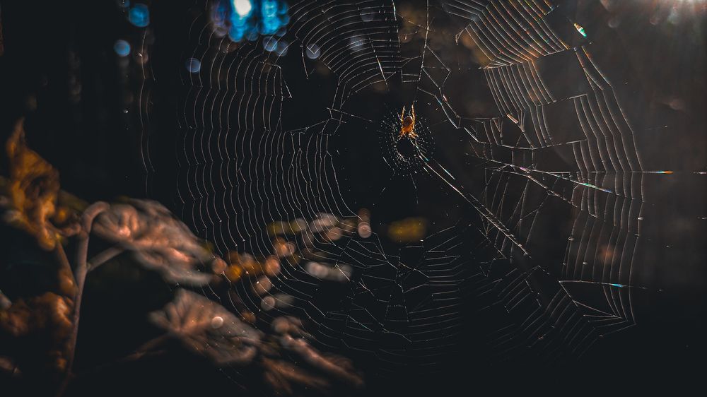 Photograph by _ AZIMOV