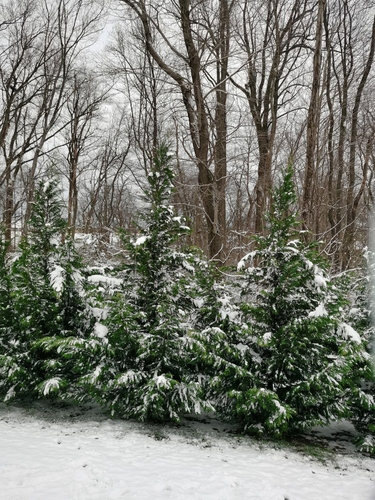 Photograph by Виктория Федосеенко
