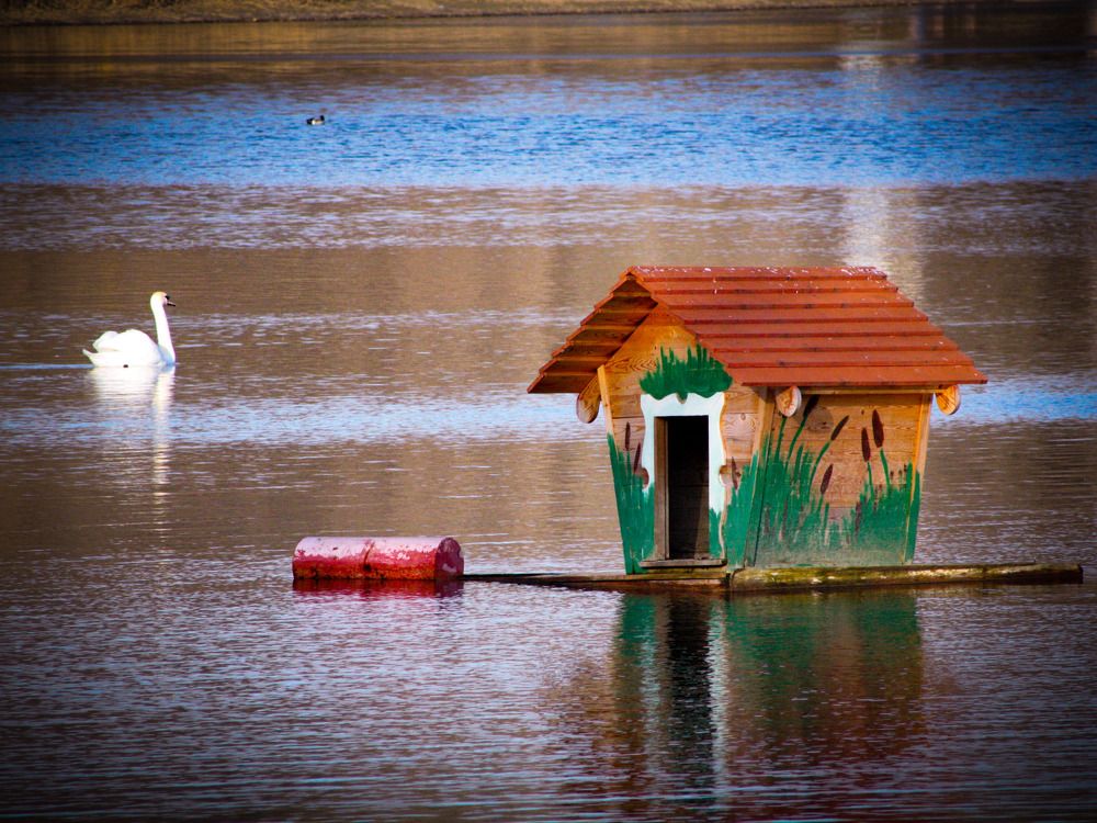 Photograph by Галина Литвинова