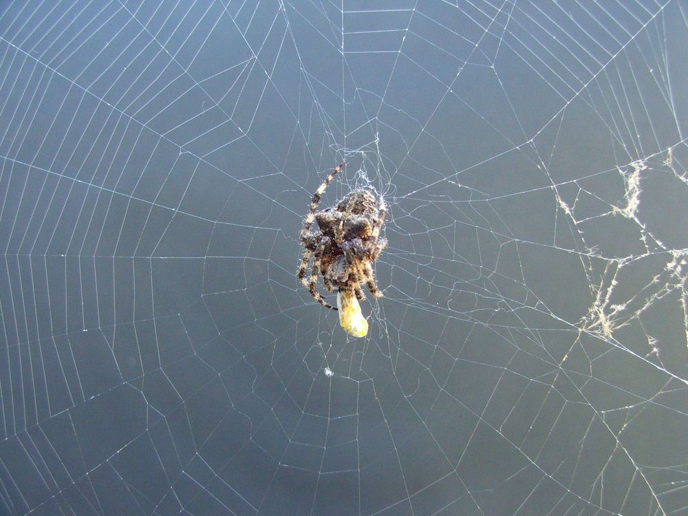 Photograph by Cengiz Yalcin