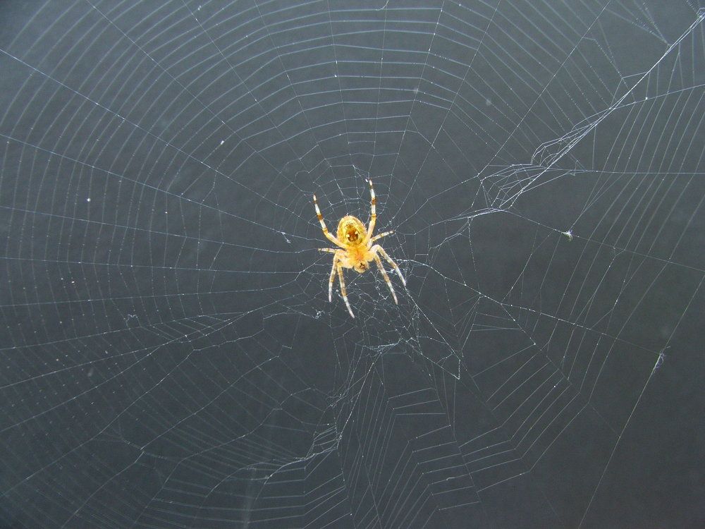 Photograph by Cengiz Yalcin