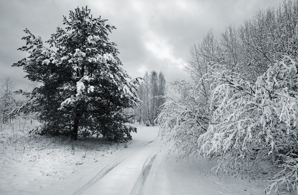 Photograph by Juris Buklovskis