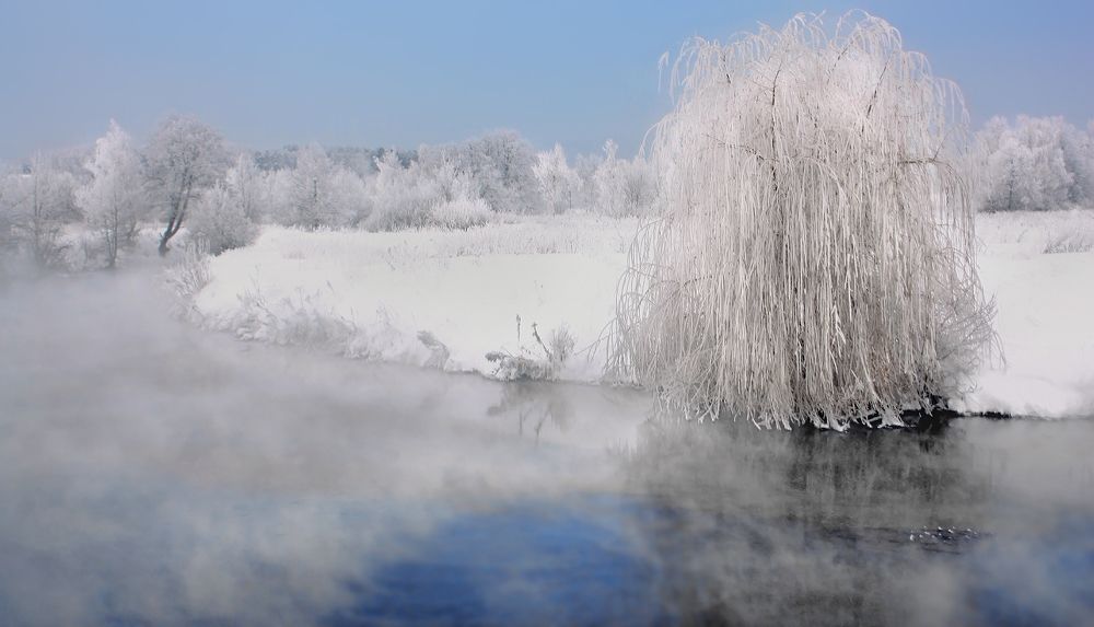 Photograph by Ольга Заболотская