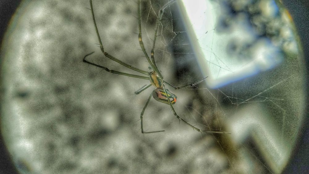 Photograph by Nileydi Colmenarez