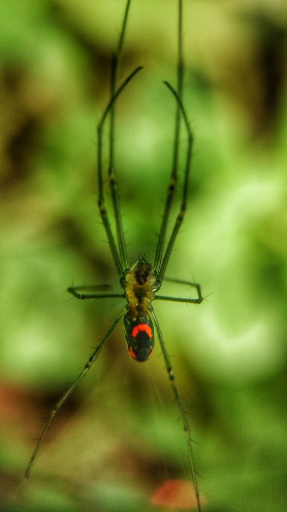 Photograph by Nileydi Colmenarez