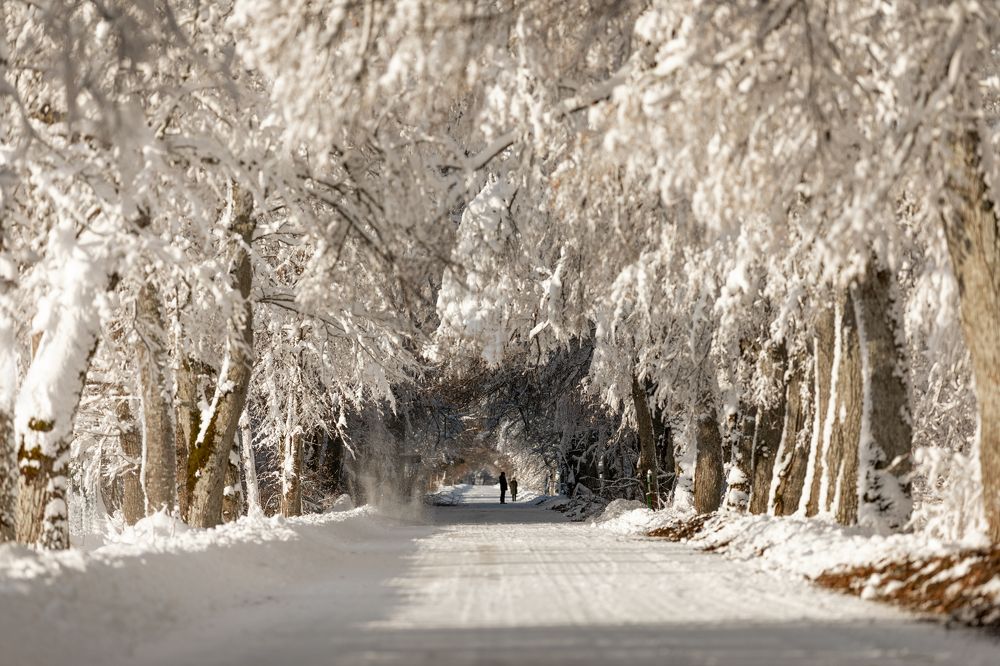 Photograph by Julija Lurina