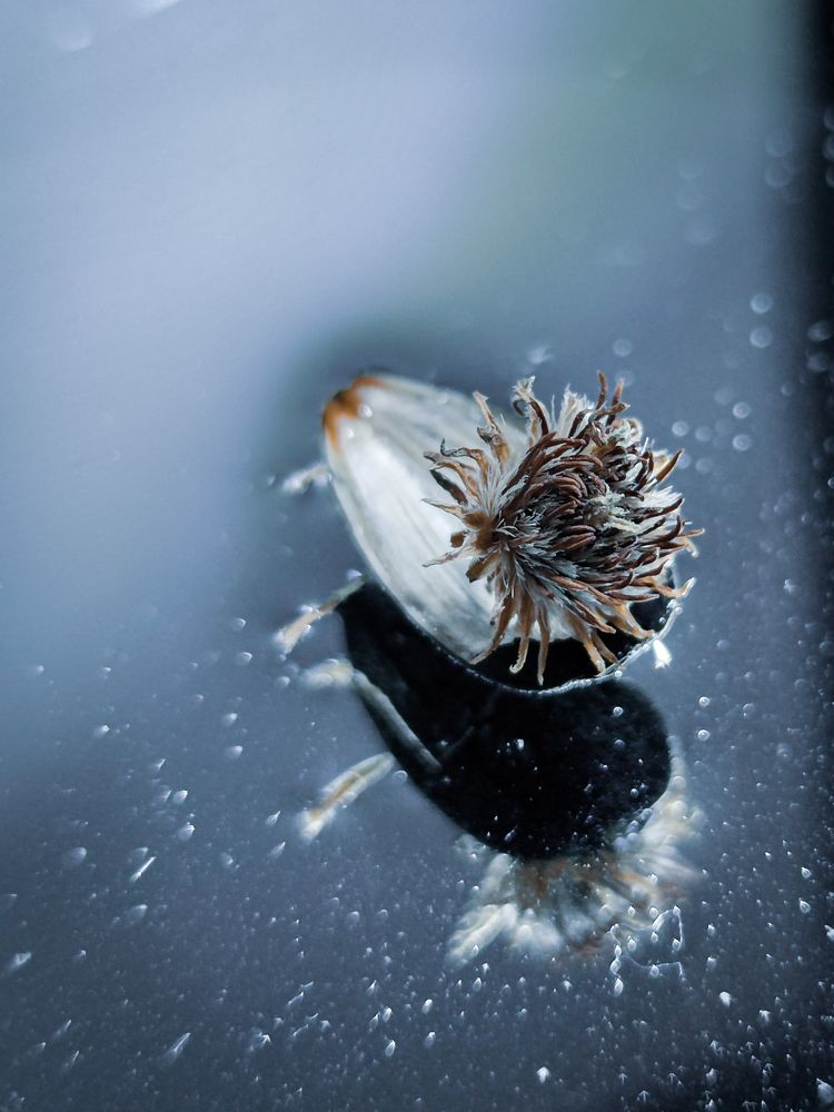 Photograph by Екатерина Зубарева