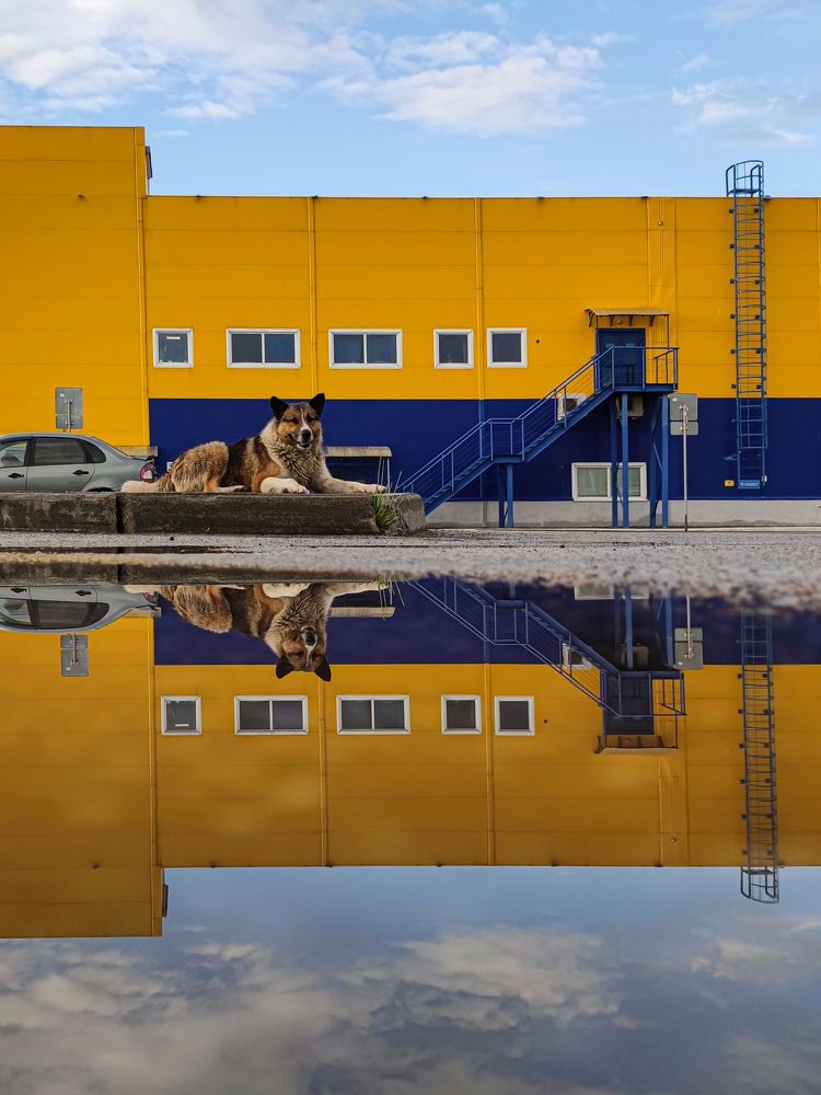 Photograph by Екатерина Зубарева