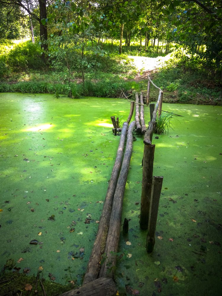 Photograph by Галина Литвинова