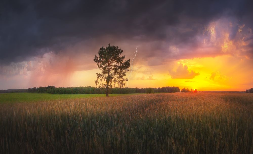 Photograph by Роман Балонкин