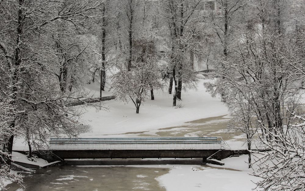 Photograph by Alexandra Chalova