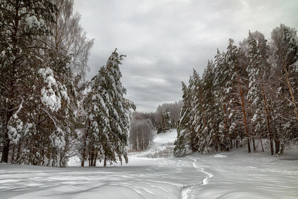 Photograph by Сергей Абашкин