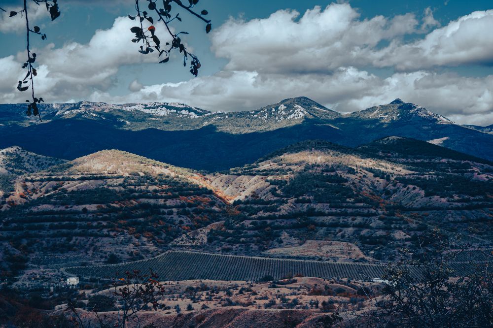 Photograph by Денис Шестаков