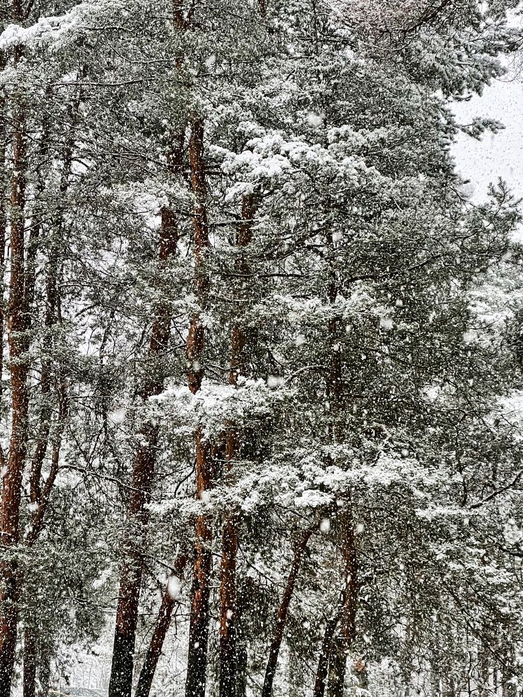 Photograph by Дмитрий Дигилин