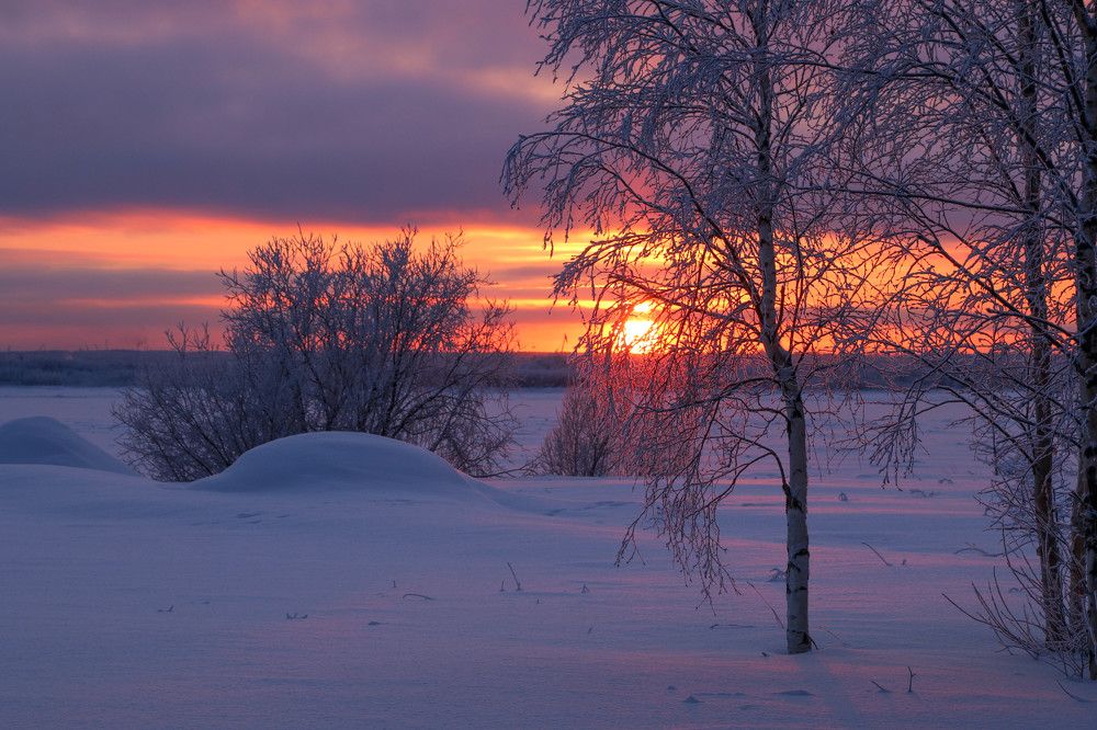 Photograph by Александр Трифанов