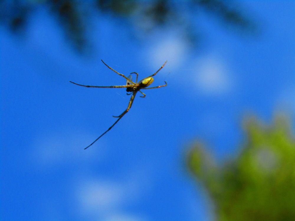 Photograph by Darko Milojevic