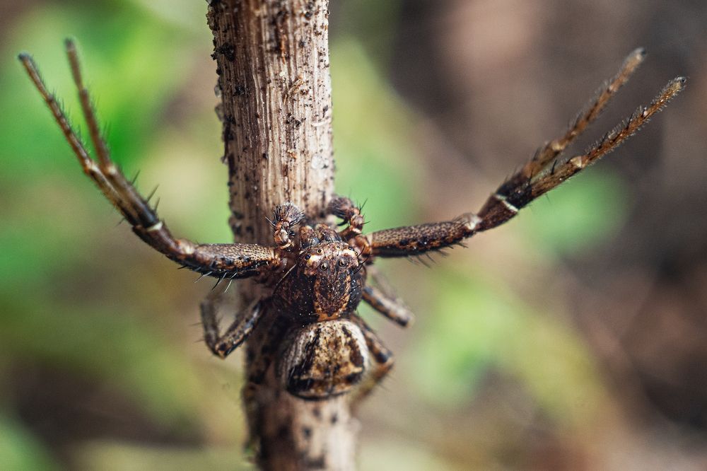 Photograph by андрей гусев