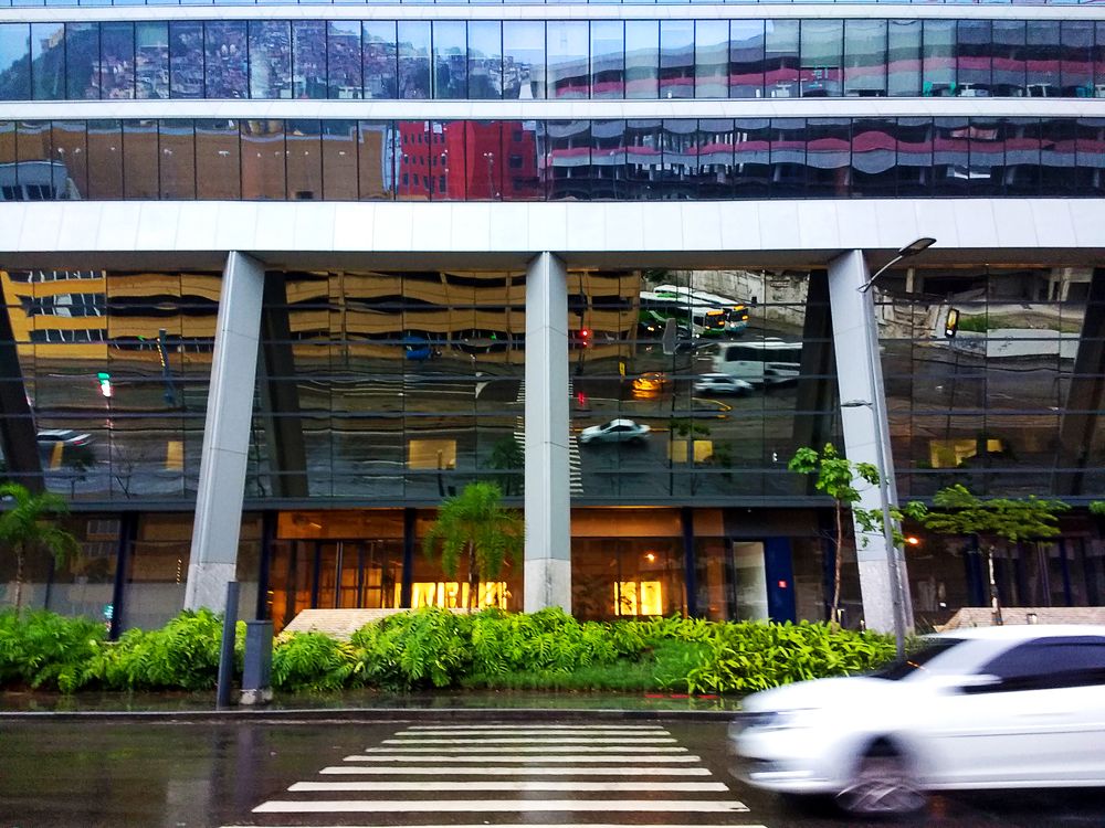 Photograph by Tatiana Barthem