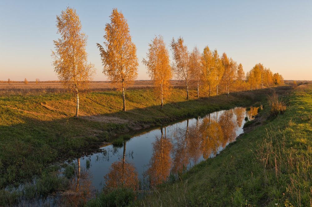 Золотая осень