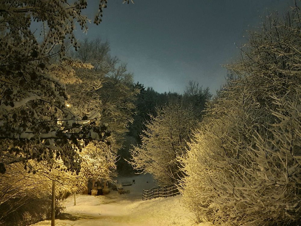 Photograph by Ева К.