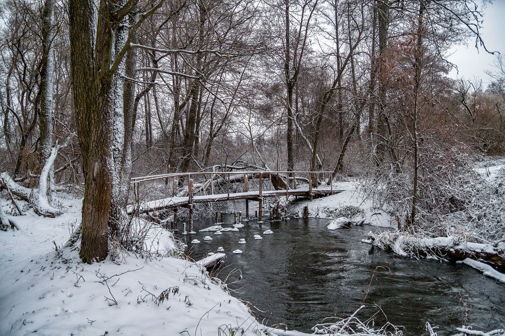 Photograph by Александр Войтко
