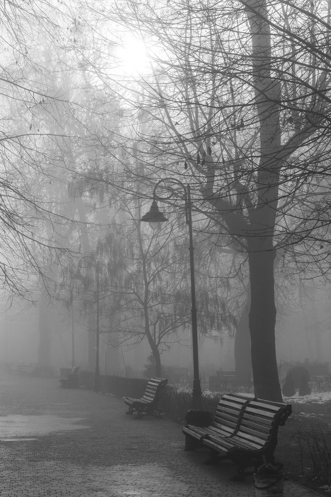 Photograph by Петро Бліщ