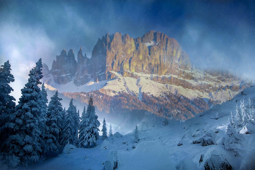 Photograph by Elena Gebert