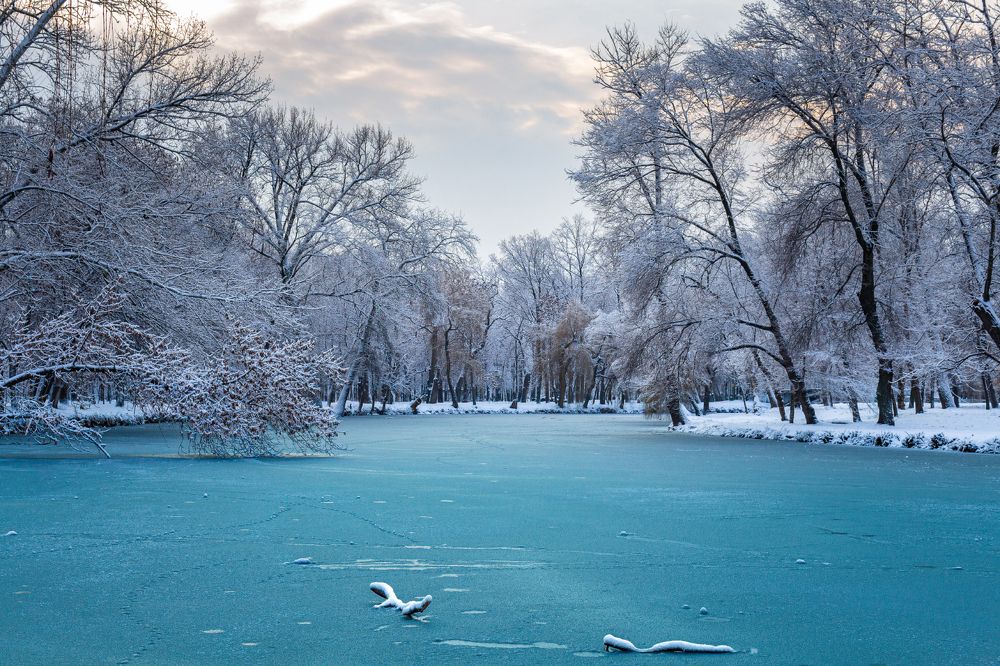 Photograph by Анна Хазова