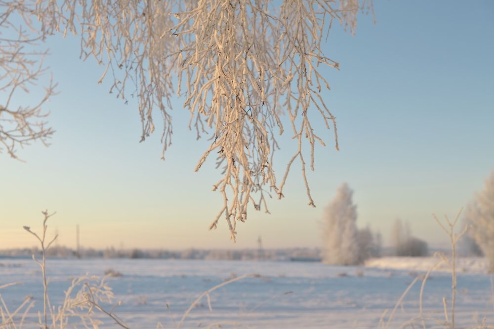 Морозное утро при первых лучах солнца