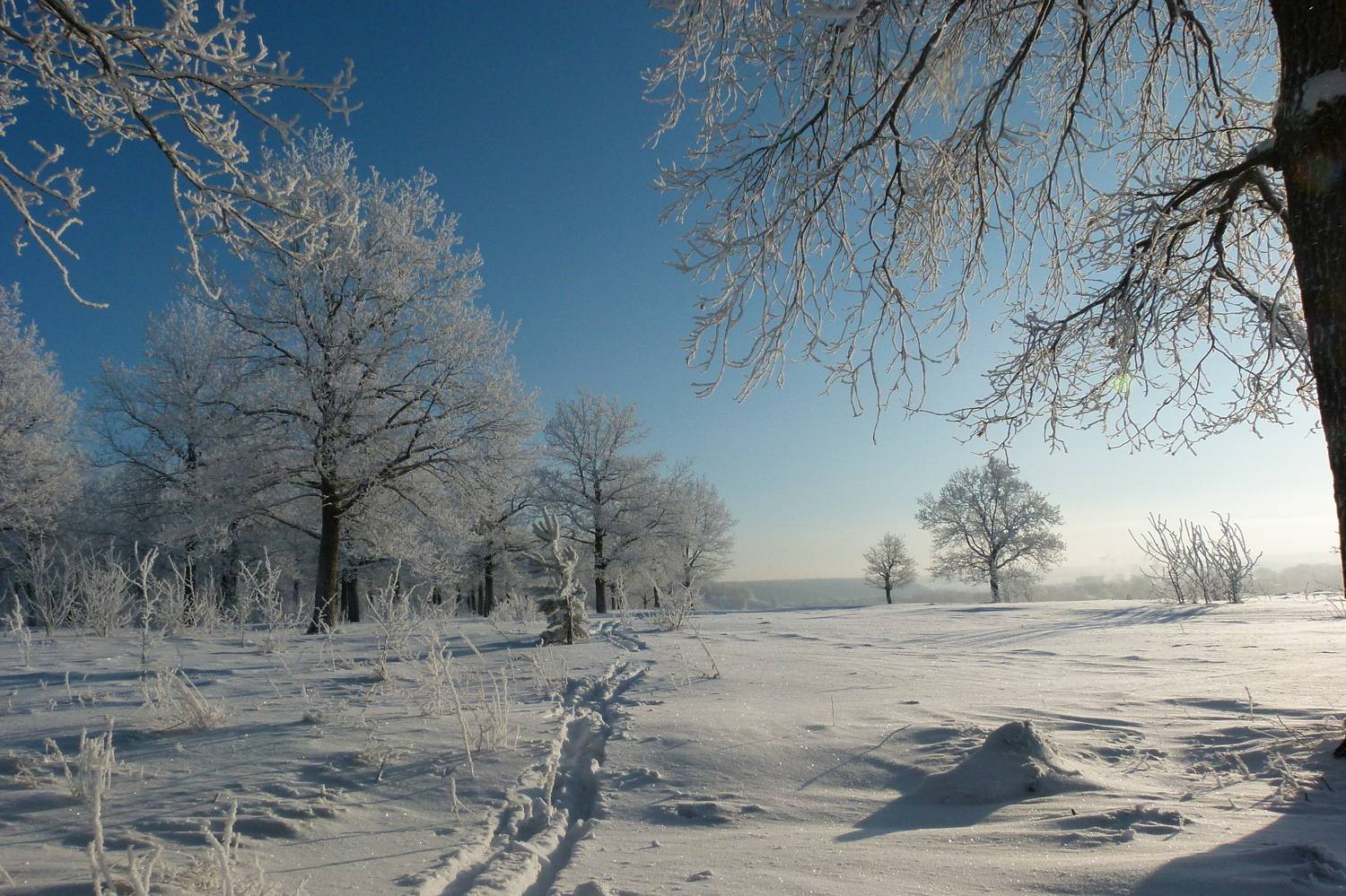 Photo #6957725