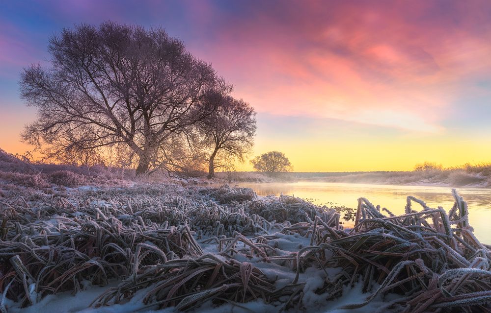 Photograph by Роман Балонкин