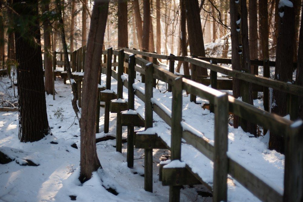 Photograph by Eugenia Shraga