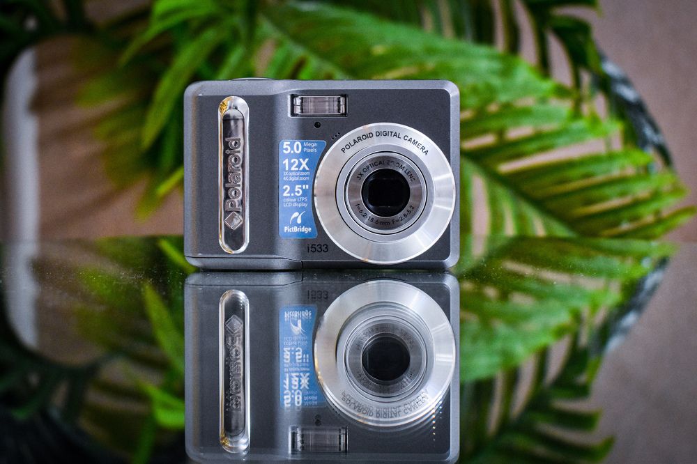 Photograph by Ahmed zaki