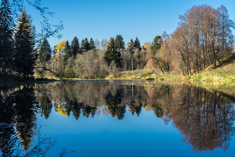 Photograph by Владимир Езеров