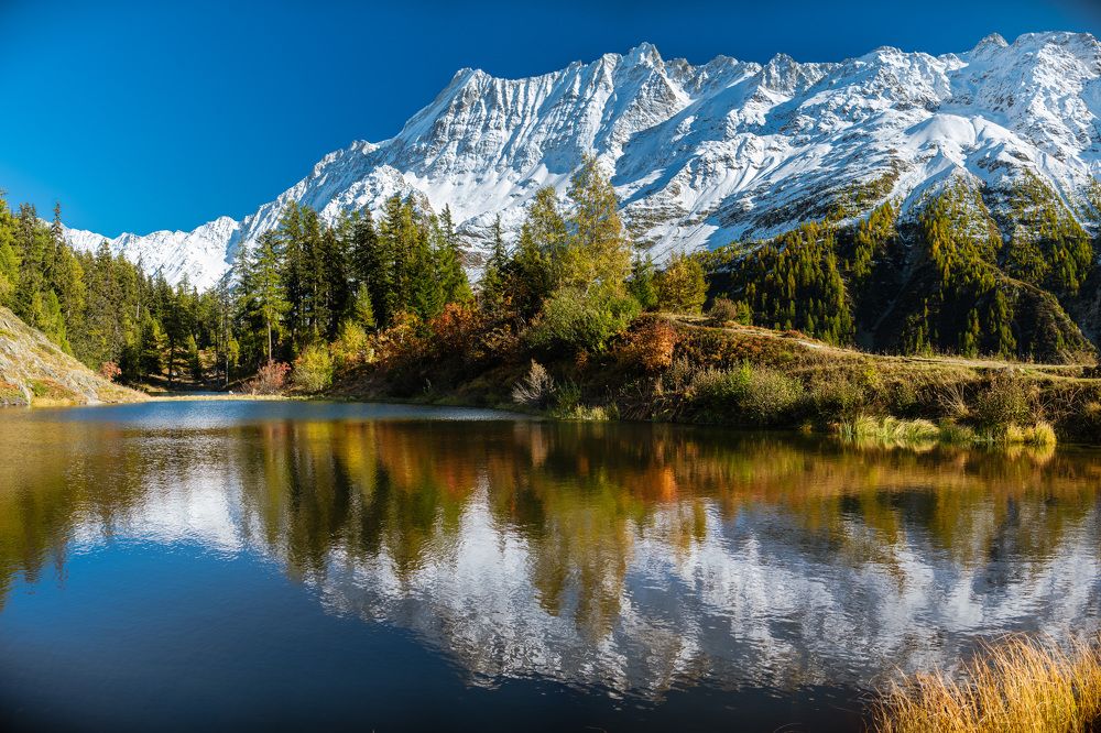 Photograph by Yulia Sosedova