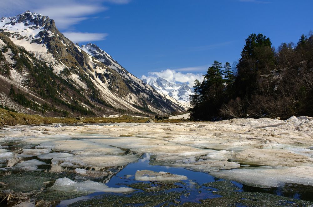 Photograph by Yulia Sosedova