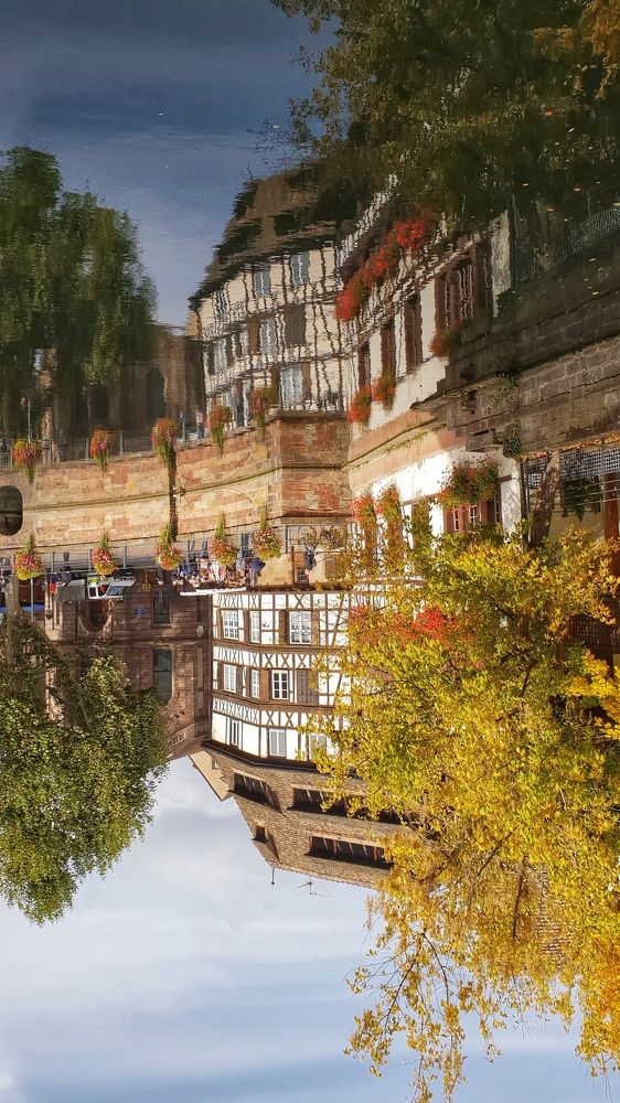 Photograph by Nelli Polle