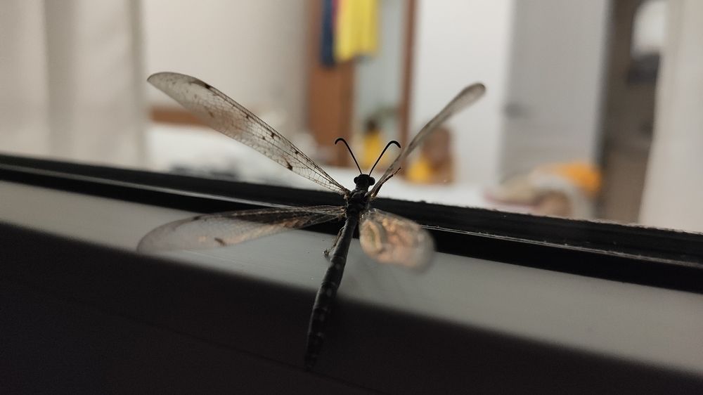 Фотография автора Сергей Дёмин