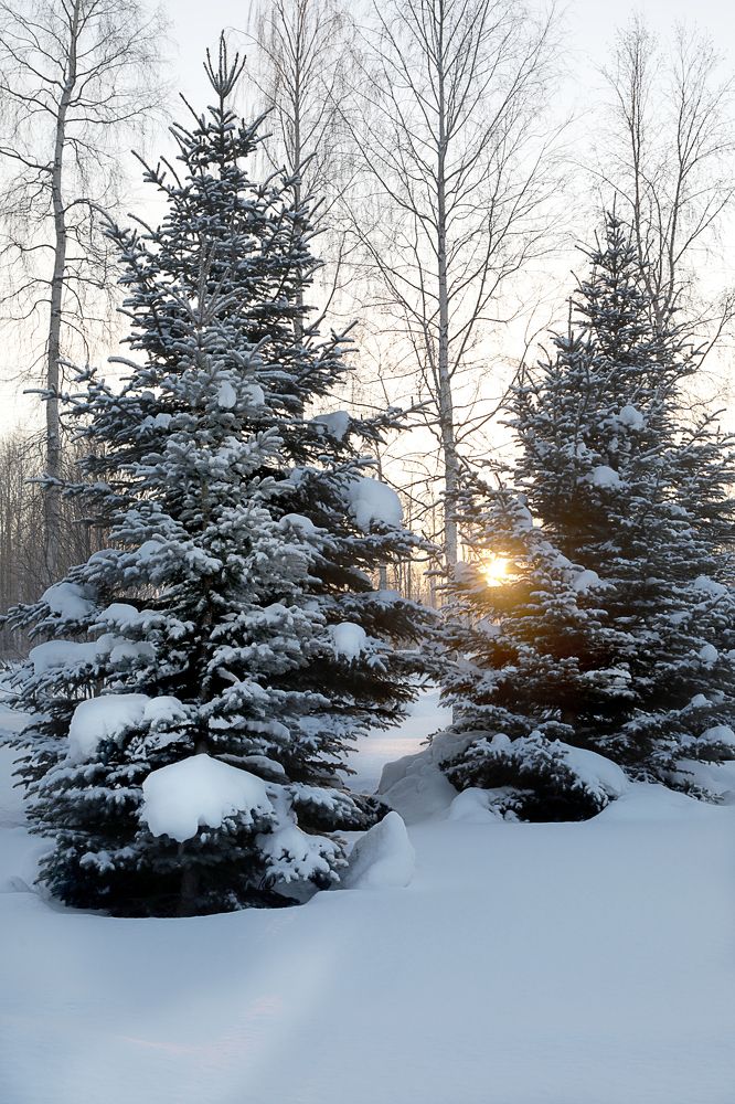 Фотография автора Андрей Шувалов