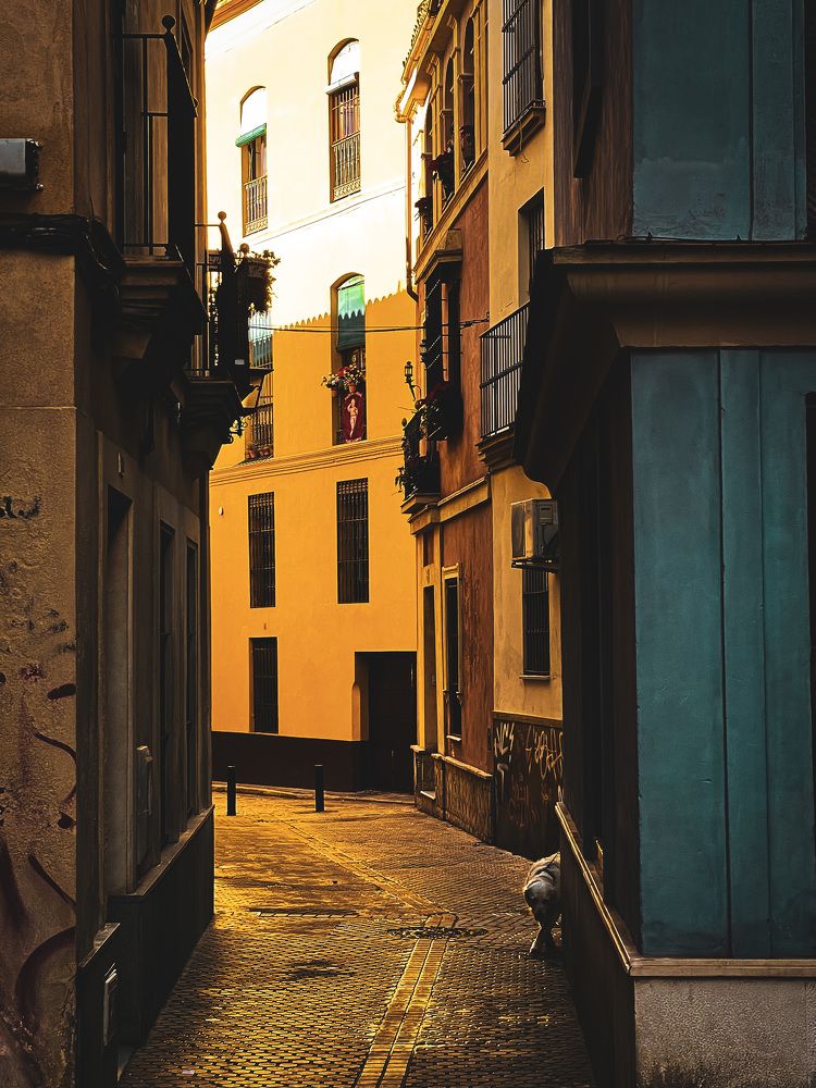 Photograph by Tiago França