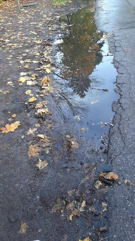 Photograph by Марийона Савоненко