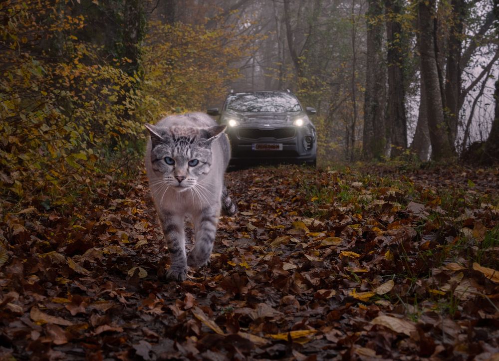 Photograph by LYUDMYLA POKRYSHEN