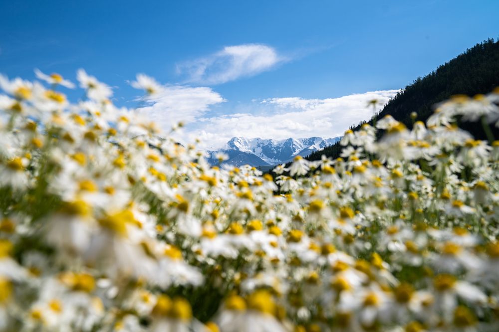 Photograph by Алексей Кононов