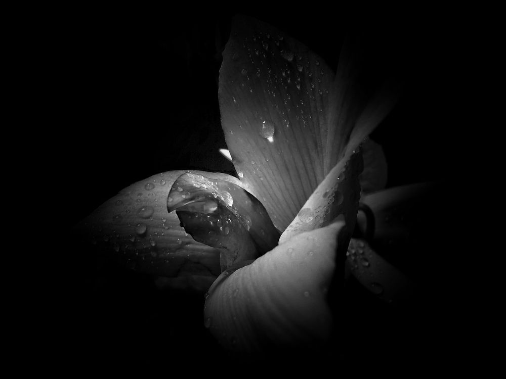 Photograph by Мария Колоскова