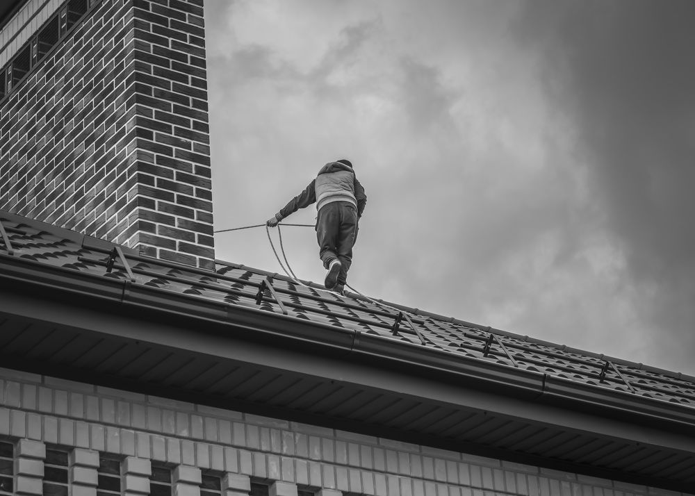 Photograph by Галина Литвинова