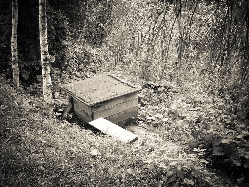 Photograph by Галина Литвинова