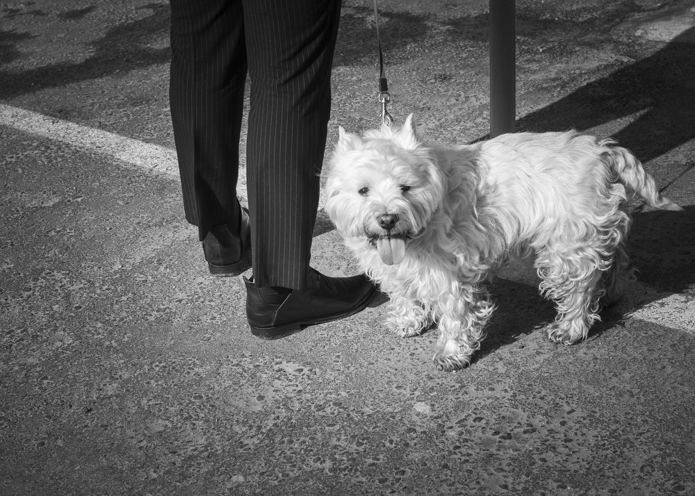 Photograph by Галина Литвинова