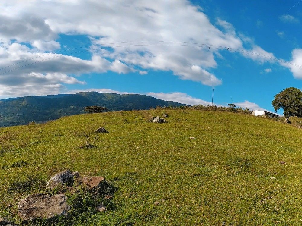 Photograph by Edgar Guillén