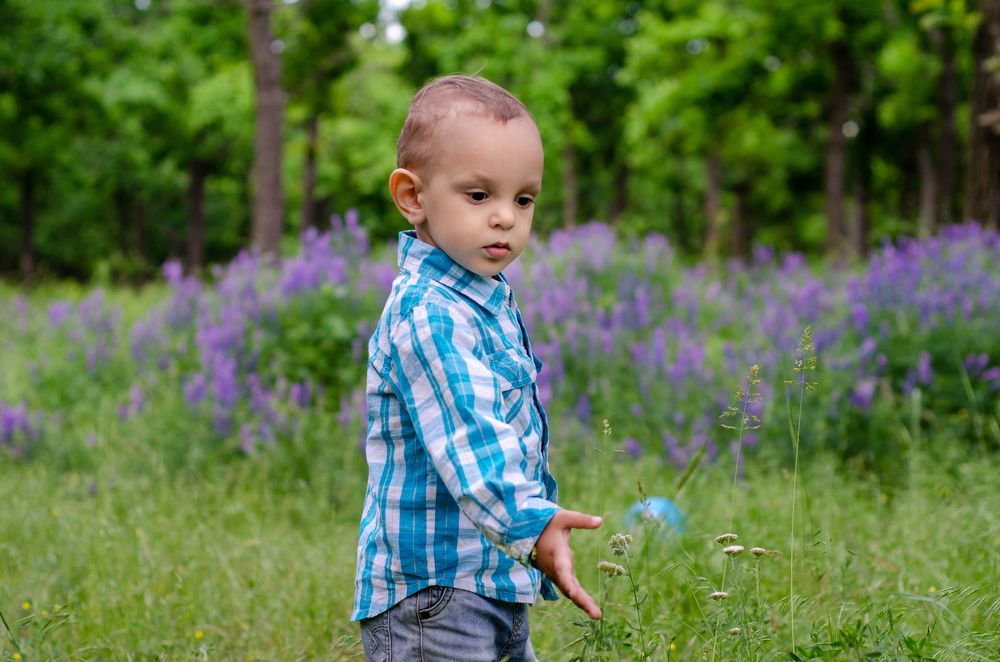 Photograph by Владимир Погребной
